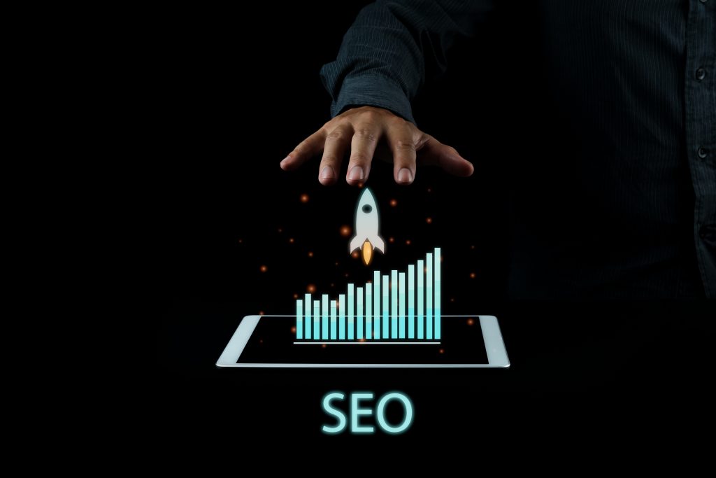 Date despre SEO
